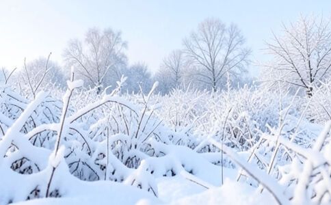 電商平臺升級案例