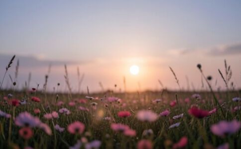 業(yè)務(wù)圖片