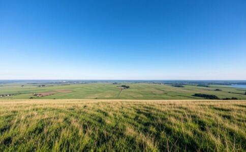 業(yè)務(wù)圖片