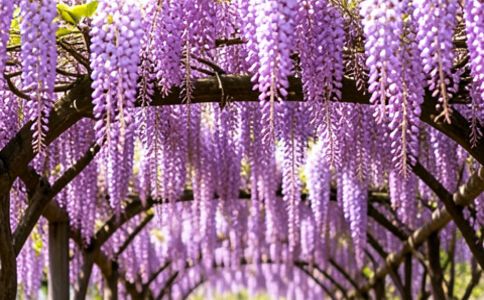 品牌形象設(shè)計(jì)