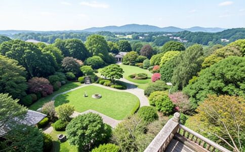 醫(yī)療系統(tǒng)集成案例