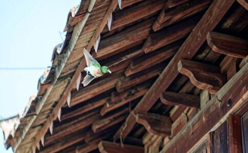 陽泉市廣佳盛貿易有限公司