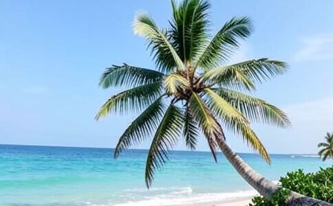 品牌形象設(shè)計