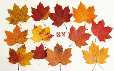 品牌形象設(shè)計(jì)