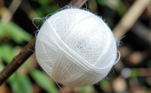 陽泉市廣佳盛貿易有限公司