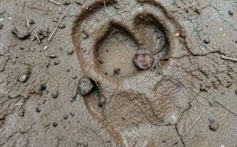 醫(yī)療健康案例