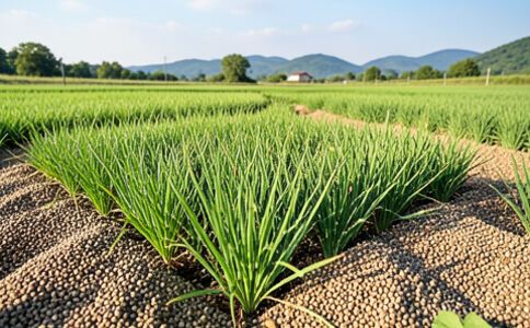 品牌形象設(shè)計(jì)