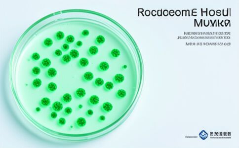 陽泉市廣佳盛貿易有限公司