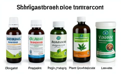 金融系統開發案例