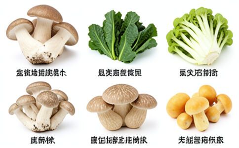 電商平臺升級案例