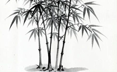 陽泉市廣佳盛貿易有限公司