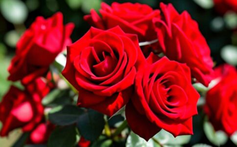 電商平臺升級案例