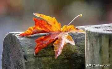 嘉善县历仲温湿度仪表合伙企业