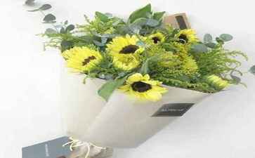 深圳市叁鼎科技有限公司