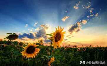 上海城隍珠宝有限公司