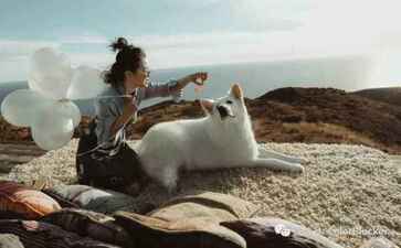 电商平台升级案例