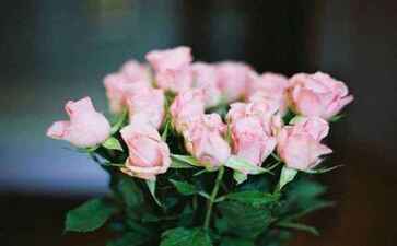 医疗系统集成案例