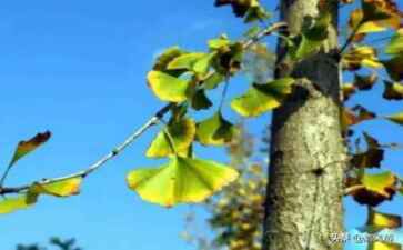 舞钢市古确运动服装合伙企业