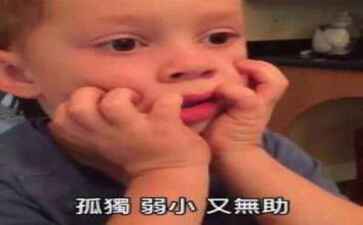 泊头市凤舞网络科技信息服务中心