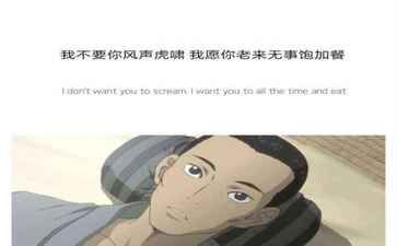 泊头市凤舞网络科技信息服务中心