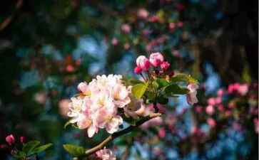 陕西水世界水上乐园设备有限公司