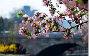 医疗系统集成案例