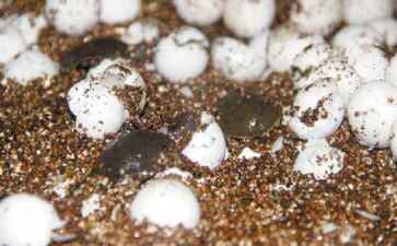 金融系统开发案例