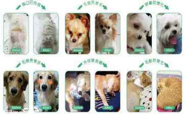 金融系统开发案例