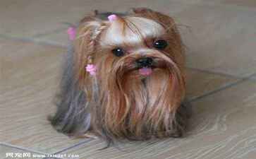 医疗系统集成案例