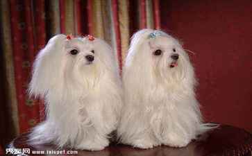 医疗系统集成案例