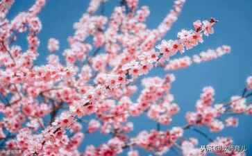 湖南中雄生物工程股份有限公司