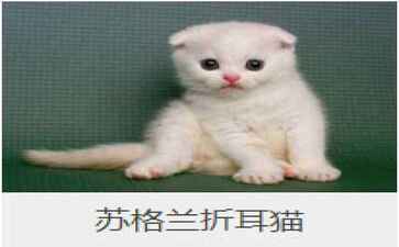 医疗系统集成案例