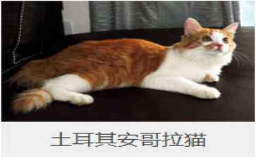 医疗系统集成案例