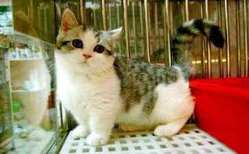 医疗系统集成案例