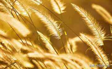 医疗系统集成案例