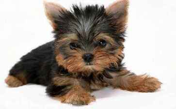 电商平台升级案例