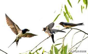 电商平台升级案例