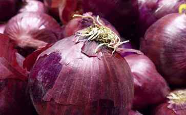 金融系统开发案例