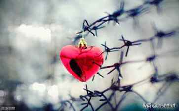 上海端进尚网络科技有限公司