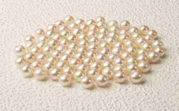 上海茗瑾电脑服务中心