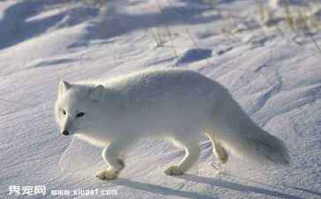 医疗系统集成案例