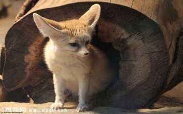 重庆城洁环境工程有限公司