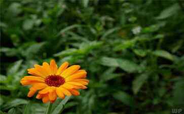 医疗系统集成案例