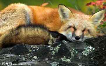 医疗系统集成案例