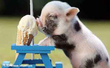 电商平台升级案例