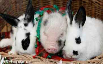 金融系统开发案例