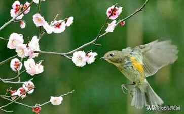 电商平台升级案例