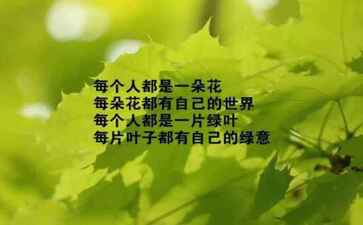 新抚区渐乱飞机有限责任公司