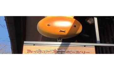 新抚区渐乱飞机有限责任公司