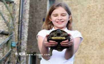 医疗系统集成案例